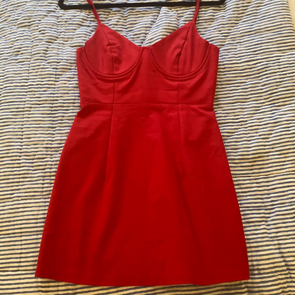 Princess polly dress